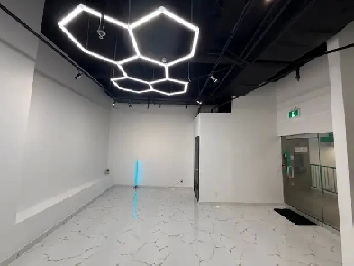 Own a Commerical Space in the Heart of Downtown Toronto Image# 3