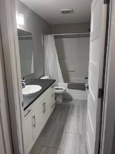 Beautiful & Bright 2Bed 2Bath Basement Suite (Shared) Image# 8