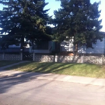 2Bedroom   Den, 1.5 bathroom House for Rent in North Edmonton Image# 1