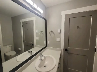 Bright & Quiet 2-Bedroom Basement Suite - Pet-Friendly! Image# 1