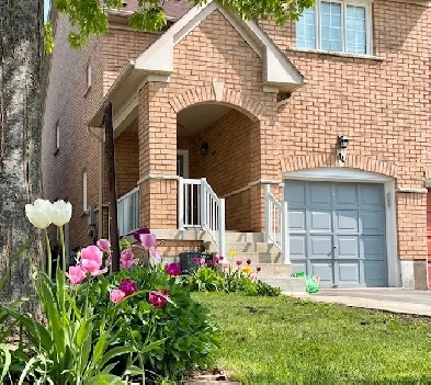 Excellent fully furnished one bedroom available immediatly. Image# 1