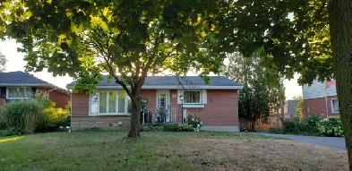 Brantford - Upper Floor Rental 2 plus 1 Image# 8