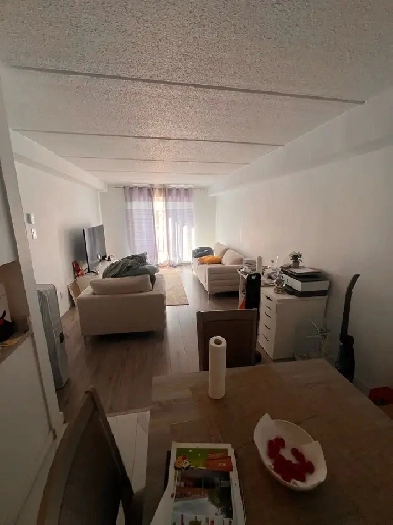 appartement à louer Image# 1