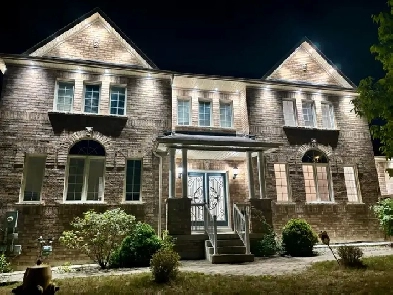 New basement rent - 2 bedroom, 1 bathroom, $1899 all in Image# 1