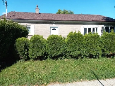 3 bedroom house for lease Image# 1