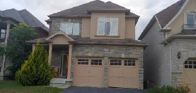 Whitby 1 Bed 1 Bath Must-See Basement in Detached House for Rent Image# 1