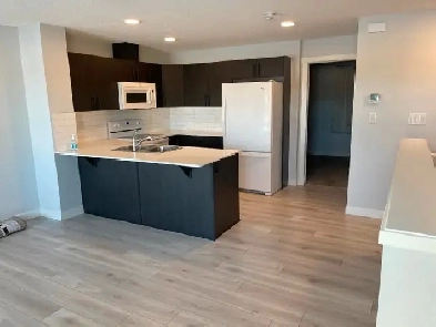 Modern Luxury Condo with 2 parking, balcony and great walkscore. Image# 1