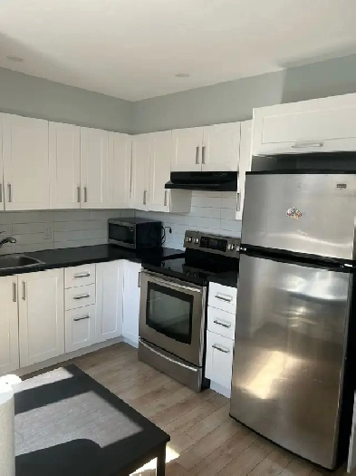 3 1/2 meublé à luer Image# 1