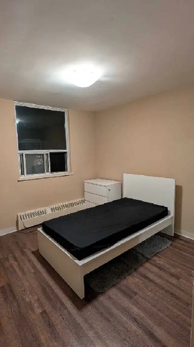 1 Bedroom for Rent Image# 1