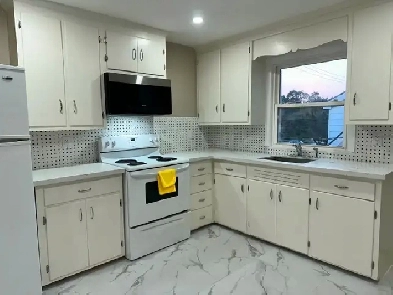 1 Bedroom Apartment - Fully Renovated Image# 1