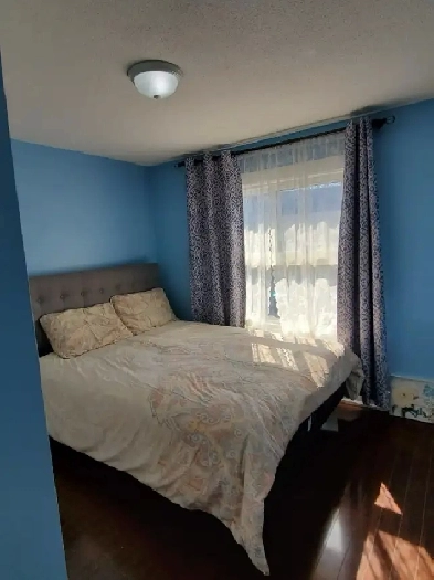 PRIVATE ROOM FOR FEMALE ,BRAMPTON ,BASEMENT CLOSE TO BUS STOP Image# 1