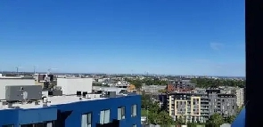 1BR/1BA $1,695  ~Nov 1 Lease trans. Parking. Pets Gym. W/D. Image# 1