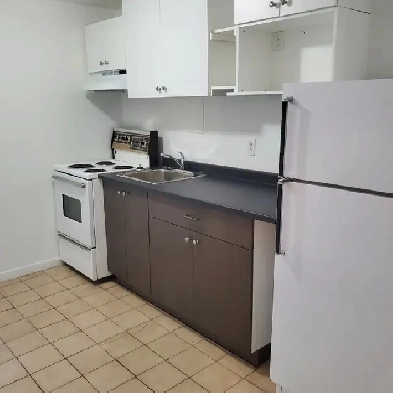 BEAU PETIT 3 ½,LIBRE/ RÉNOVÉ,CDN/ Près Hôpital Juif, Ste-Justine Image# 1