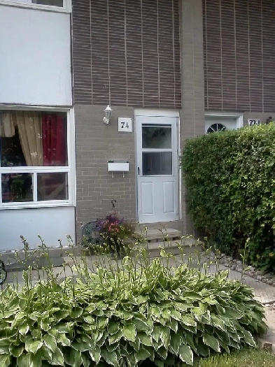 Nice Room for rent W/Private Washroom near Sheridan!! Image# 1