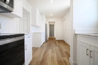 Newly Renovated 1 Bedroom Apartment! Move In Ready! Image# 1