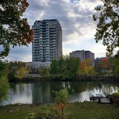 super cute studio apartment on the river Image# 5