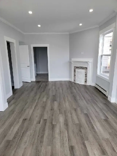 large Large 2 bedroom apartment for rent Image# 1