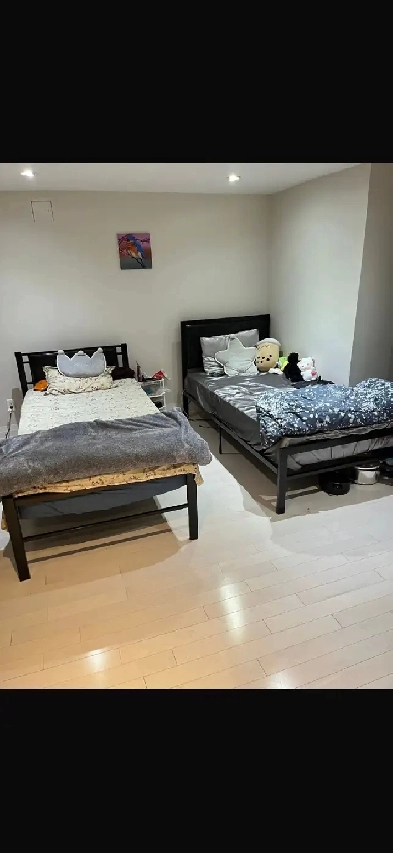Spacious Master Room for Rent in Scarborough Image# 1