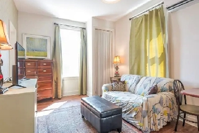 Bright Renovated 1-Bed Apartment with Balcony - 21 Albert St S Image# 1