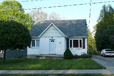 WEST GALT - NEW ONE BEDROOM APARTMENT Image# 1