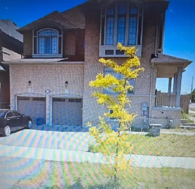 2 bedrooms  1 bedroom Basement apartment available for rent Image# 2