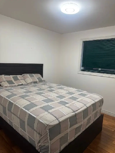 Private Room for Rent Image# 2