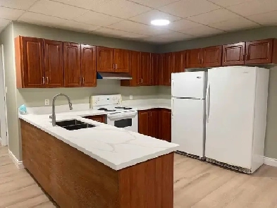 Newly Renovated Spacious Downtown Rooms for Rent Image# 4