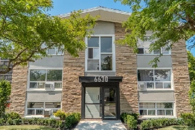 27 Unit Multi Family Apartment Building in AAA  area! Image# 4