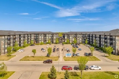 Cielo - Two Bedrooms available! Image# 6