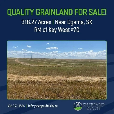 Quality Grainland For Sale Near Ogema, SK Image# 2