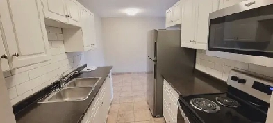 South Shore Downtown Renovated 1 Bedroom Apartment With Laundry Image# 3
