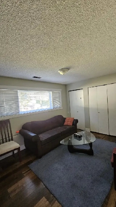 $1,600 / 2br - 1000ft2 - 2 bed 1 bath lowerlevel house for rent Image# 3