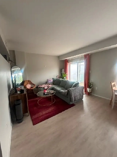 1Bed & 1 Bath Apartment Image# 1