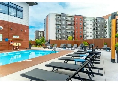 Room for rent  in sage creek Image# 1