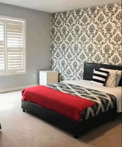 Accommodation for rent Image# 1