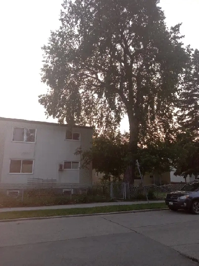 2 Bedroom Apartment For Rent Image# 1