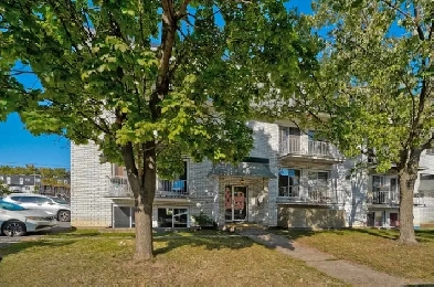 Beau 5.5 sur la rue Joliette à Longueuil! Image# 1