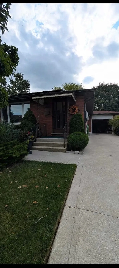 4 bed 2 bath, private backyard plus garage, 82 lacey cres Image# 1