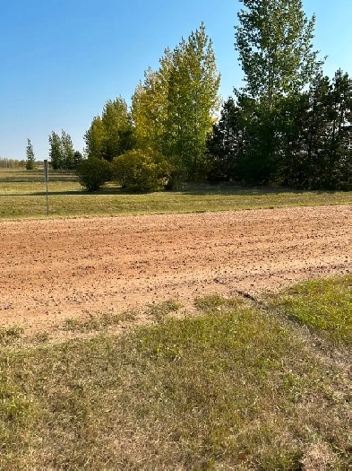 Acreage 3 miles from Redwater Image# 1