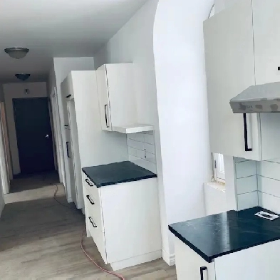 Logement 3 1/2 Image# 2