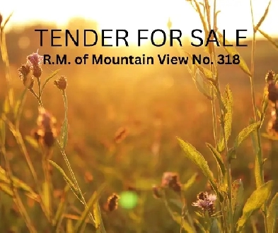 FOR SALE BY TENDER Image# 1
