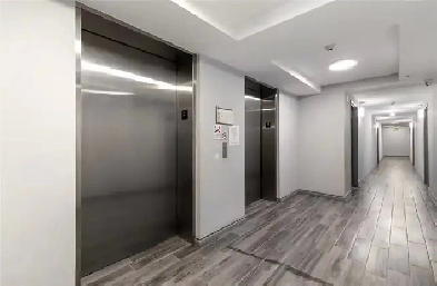 2 Beds 2 Bath apartment in Waterloo Image# 3