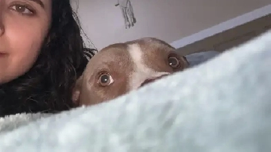 looking for a roommate Image# 1