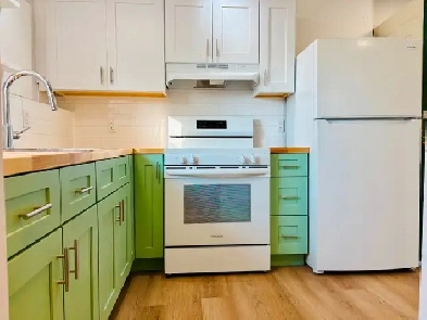 Bright, Modern & Newly Renovated Basement Suite Image# 6