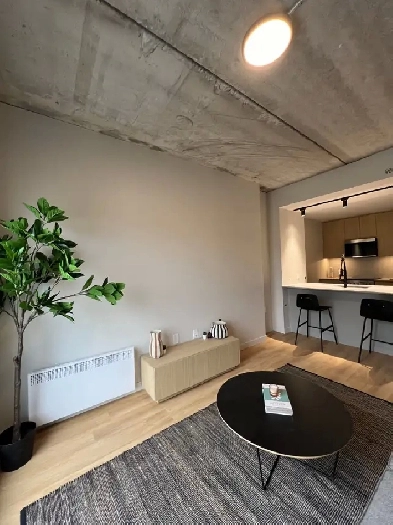 4½ appartement neuf, meublé et moderne Image# 9