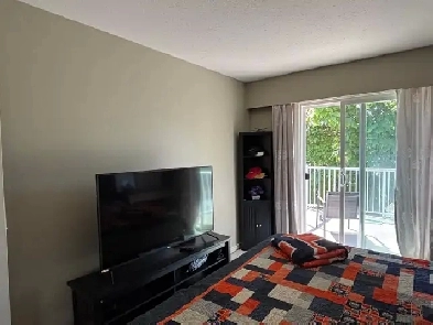 Room Available for Rent! Image# 2