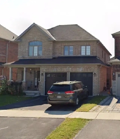 Newly Renovated Basement in Whitby for Rent (Utilities included) Image# 1