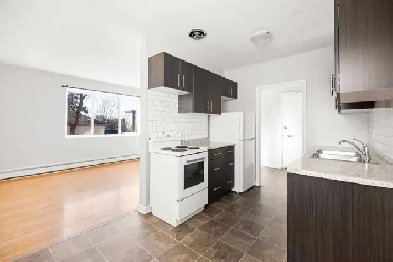 Spacious 1 Bedroom Apartment! Available November 1st! Image# 7