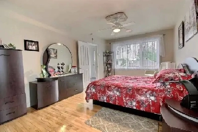 Appartement  a louer Image# 6