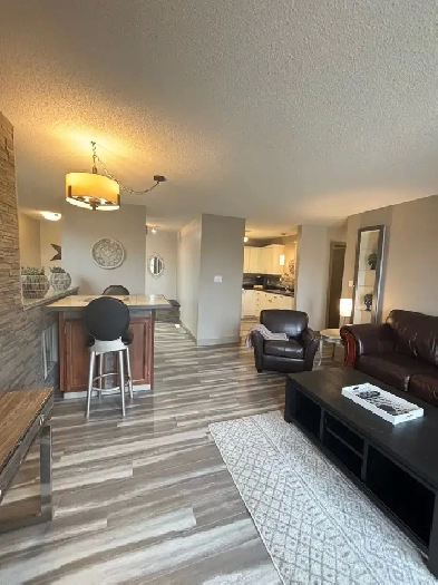 107C 4919 68st Camrose, AB Image# 8